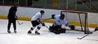 dgt_hockey (4)